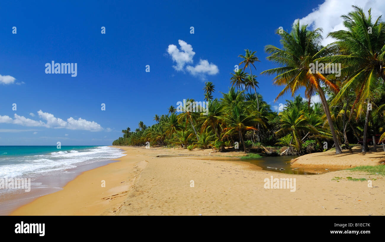 La belle plage de Los Pinos et rapide près de Hammoor dans le sud-est de Porto Rico Banque D'Images