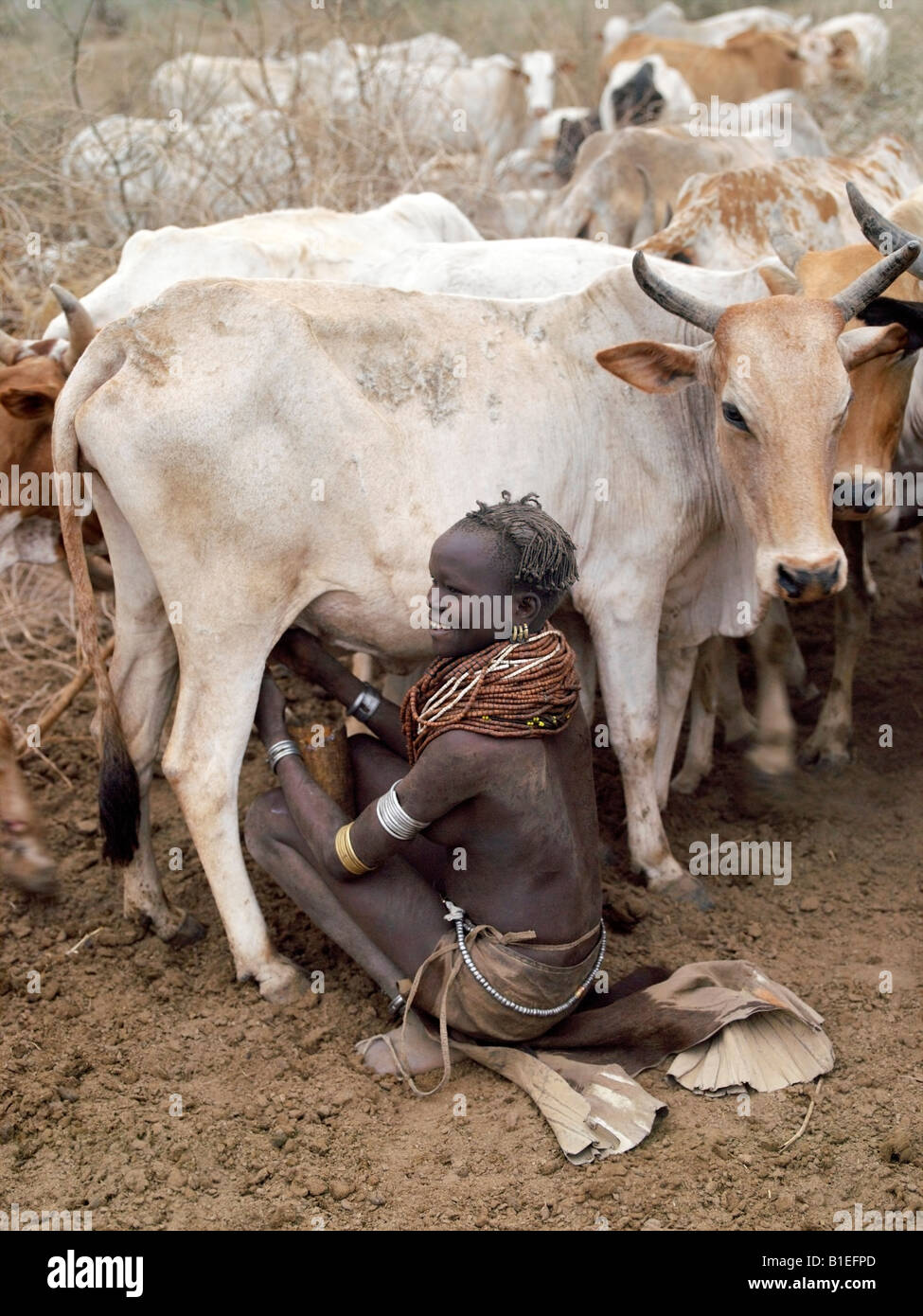 Un atome d'«Nyag» femme de sa famille des laits de vaches tôt le matin. Il est de la responsabilité exclusive des femmes et des enfants au lait de vaches Banque D'Images