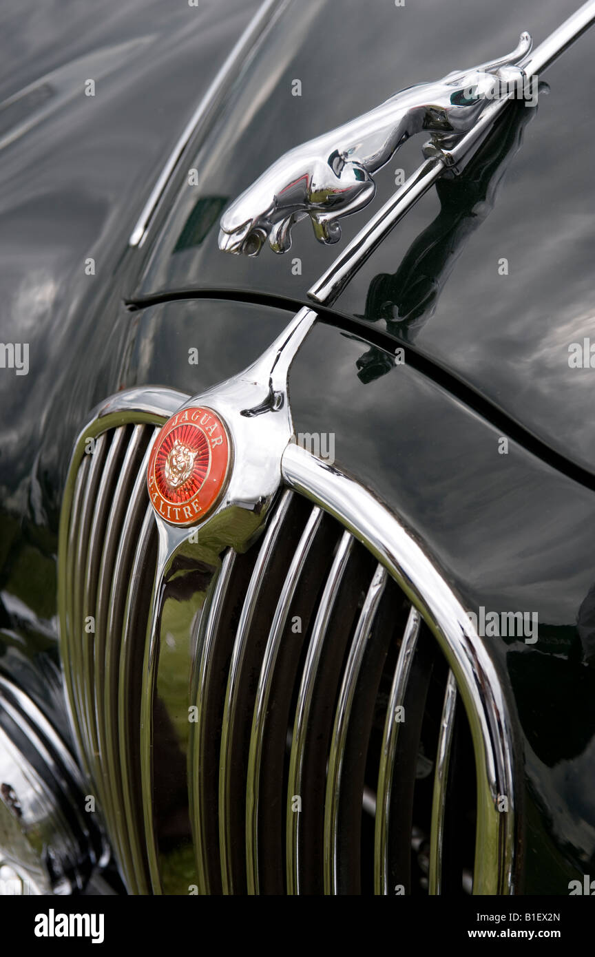 Insigne Mascotte Jaguar Mk II Photo Stock - Alamy