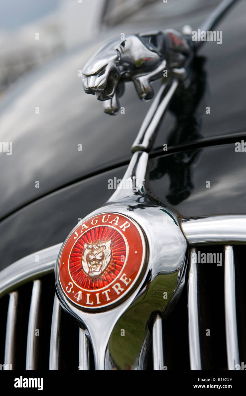 Jaguar Mk II Mascot close up Banque D'Images