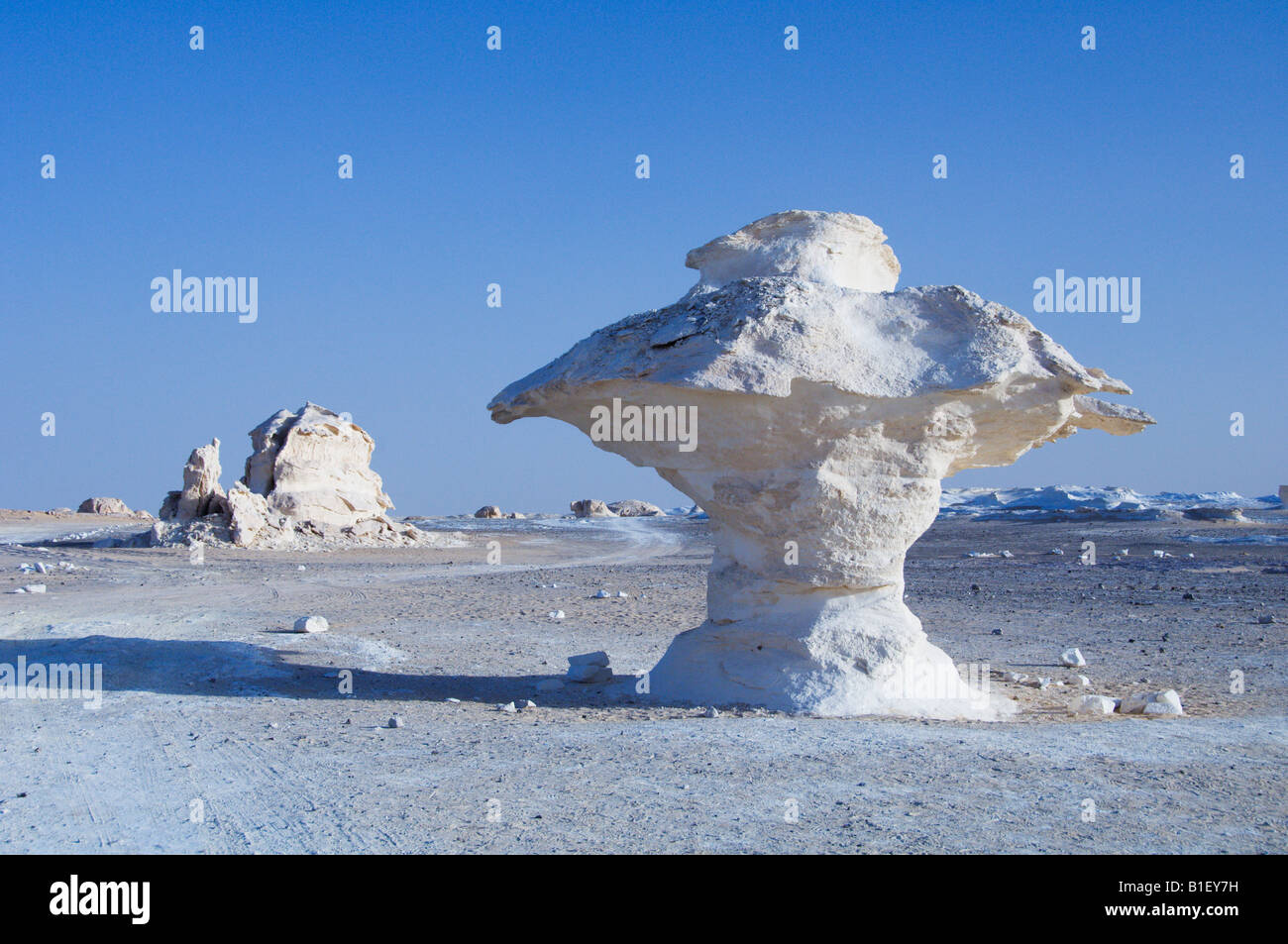 Les formations de gypse en forme de champignon dans le désert blanc d'Egypte, désert occidental Banque D'Images