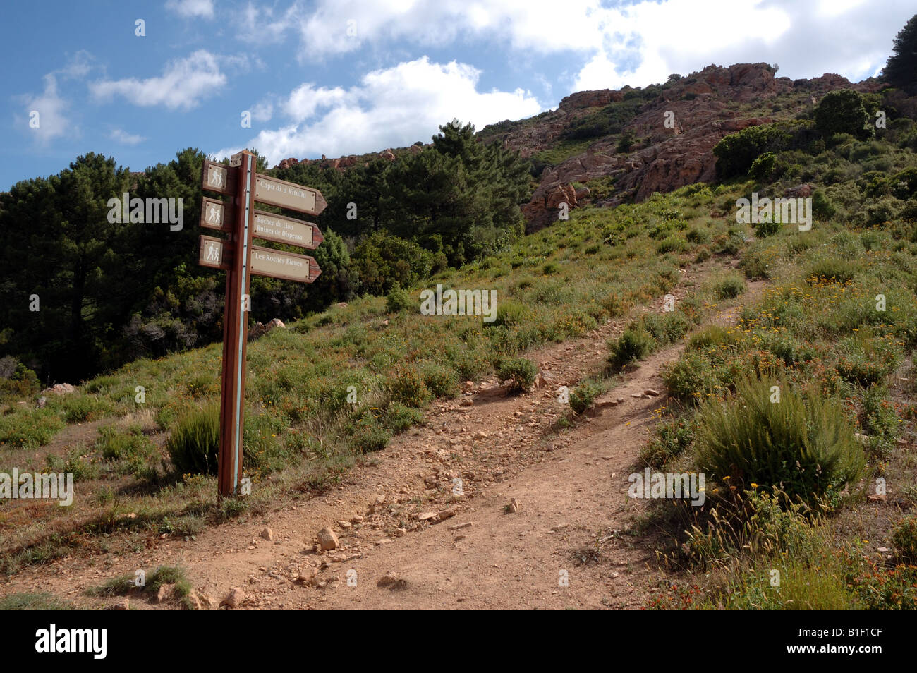 Sentier de signe sur la Calanques de Piana, Corse, France Banque D'Images