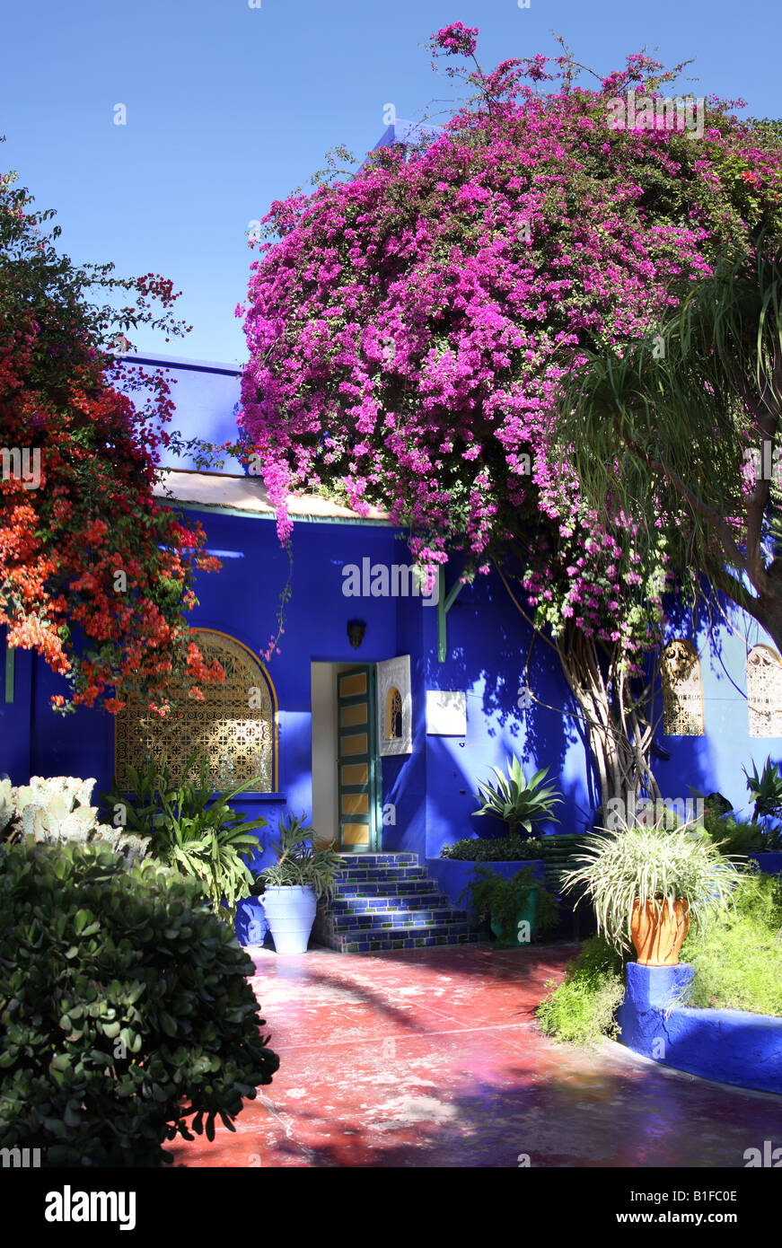 Une vue dans le Jardin Majorelle d'Yves Saint Laurent à Marrakech Banque D'Images