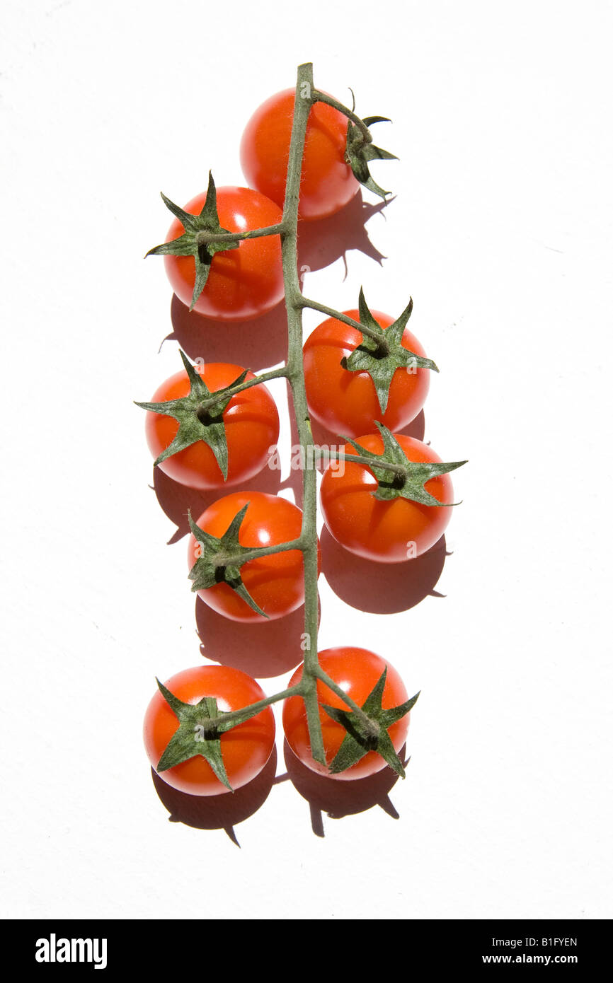 Plusieurs tomates cerises rouges avec stork vert sur fond blanc studio Banque D'Images