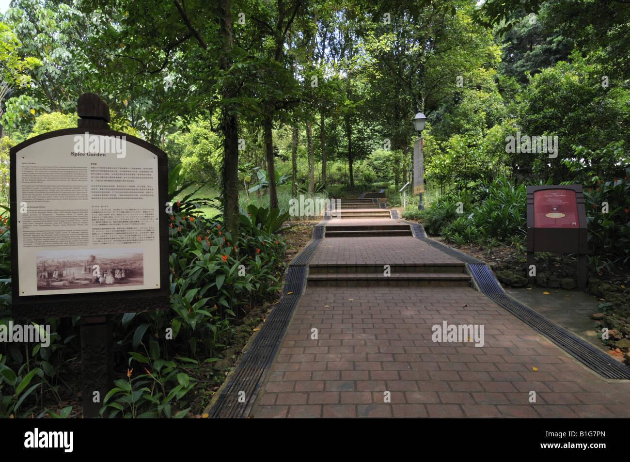 Fort Canning Park Spice Garden Singapour Banque D'Images