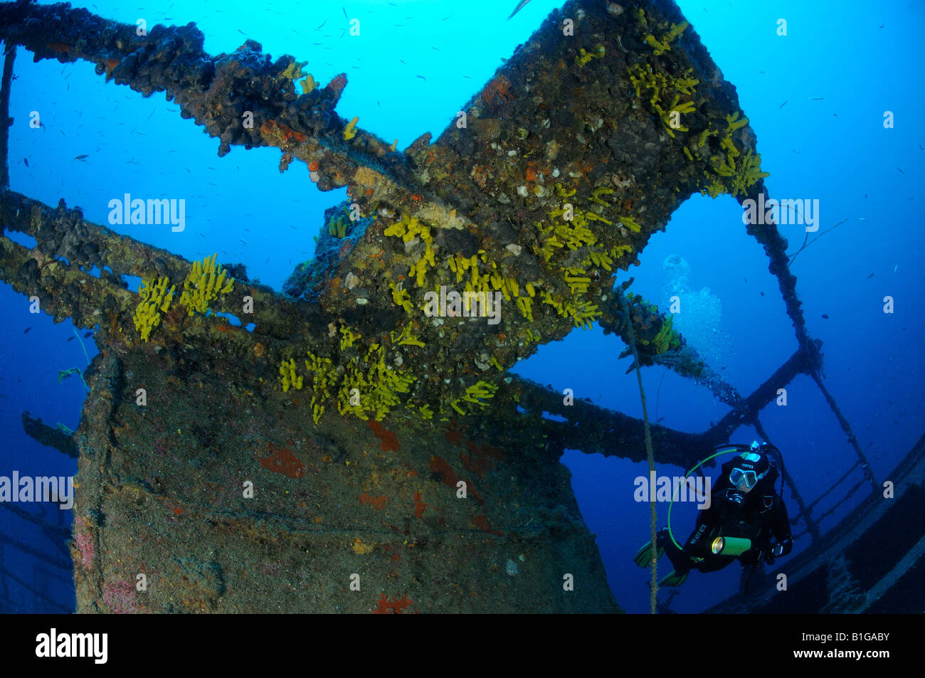 Scuba Diver shipwreck lina Banque D'Images