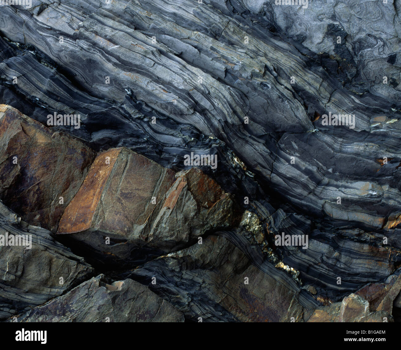 Formations rocheuses sédimentaires de Cornborough Cliff, près d'Abbostsham, sur la côte nord du Devon, en Angleterre Banque D'Images