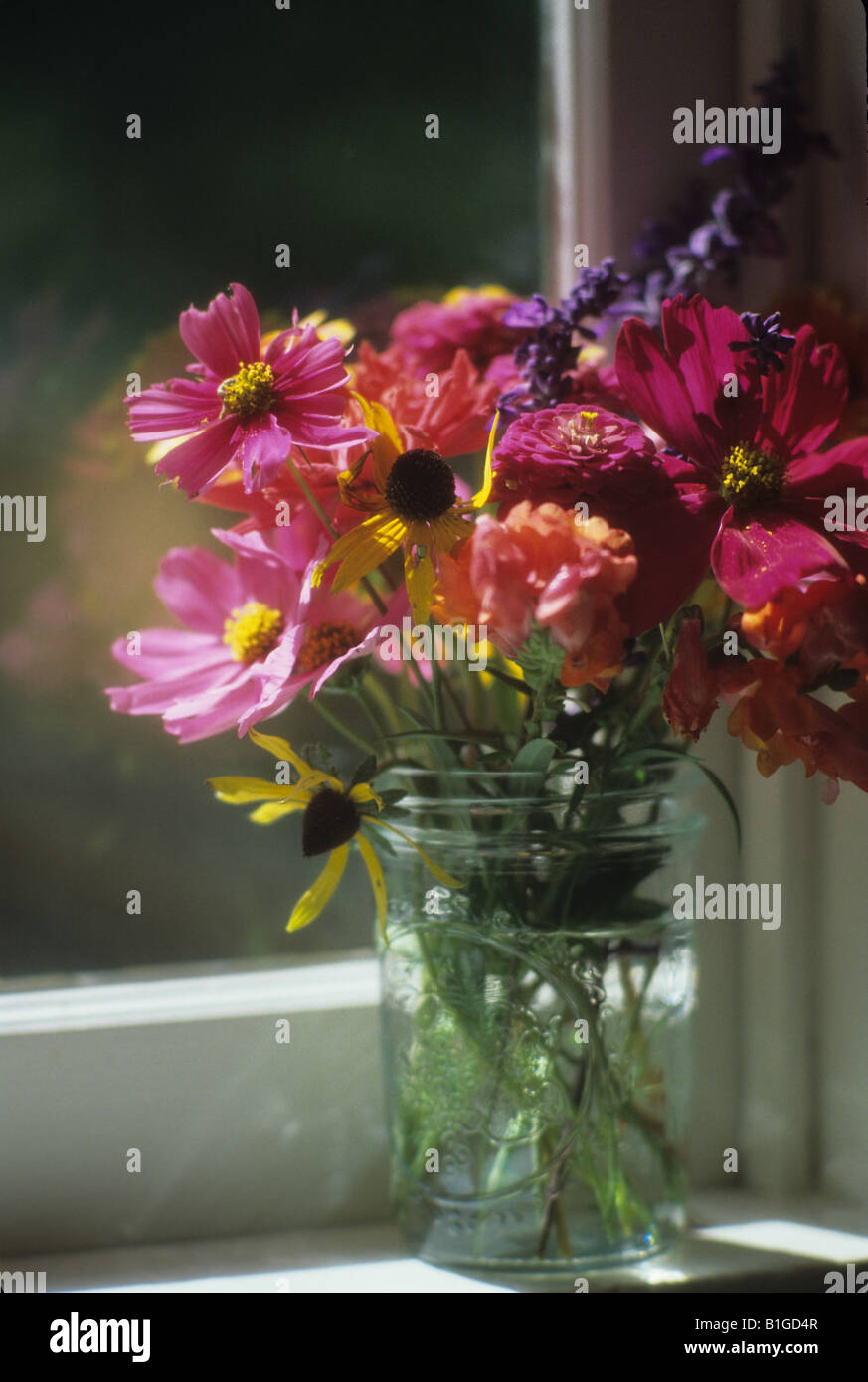Fleurs dans un vase Banque D'Images