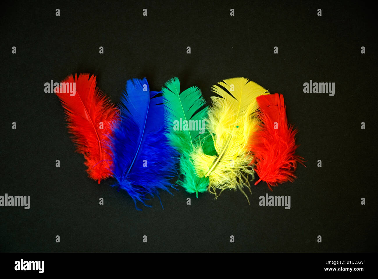 Plumes colorées sur un fond noir Banque D'Images