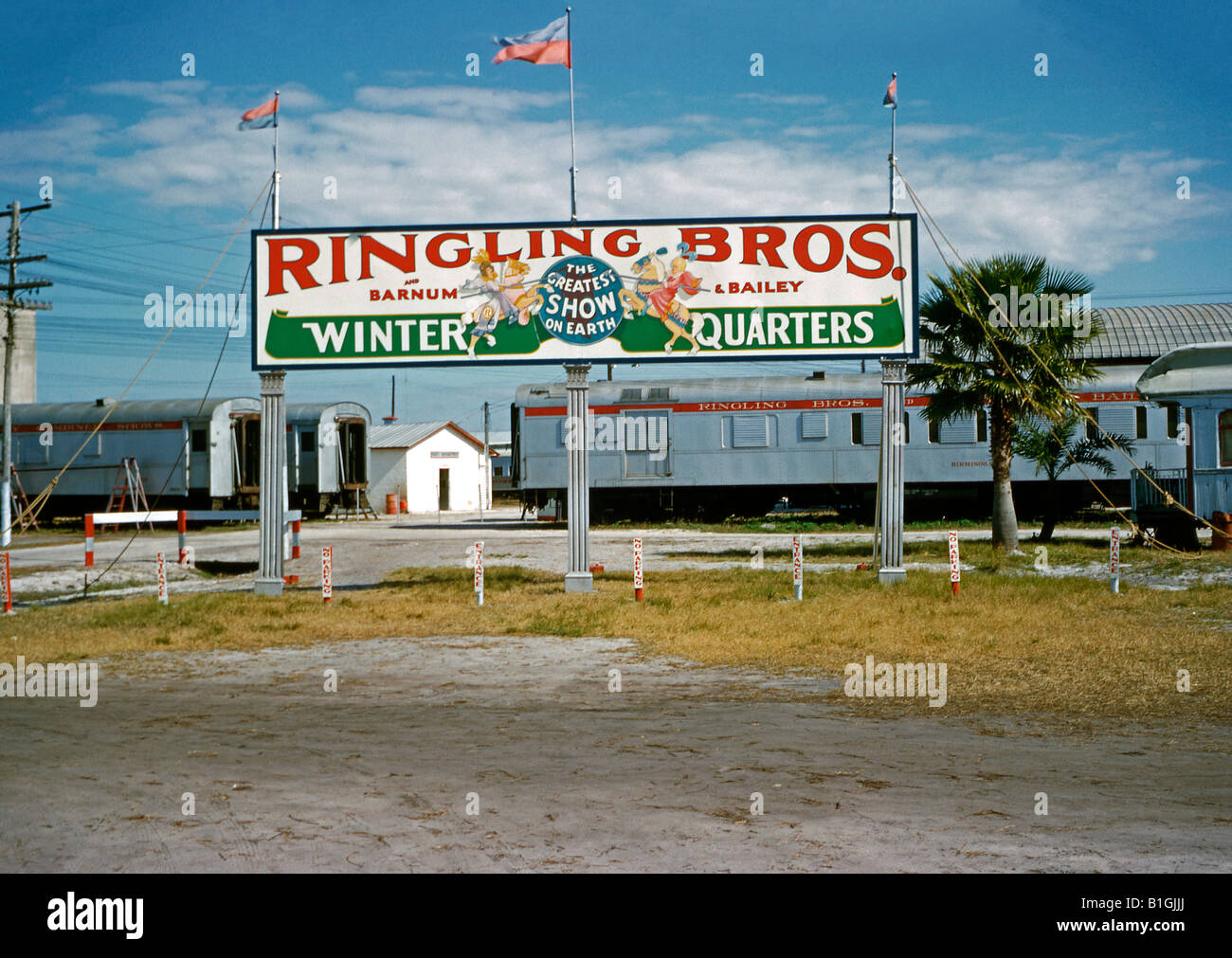 Siège de l'hiver, le Cirque Ringling Bros and Barnum et Bailey Circus, Sarasota, Floride, Etats-Unis, c.1955 Banque D'Images