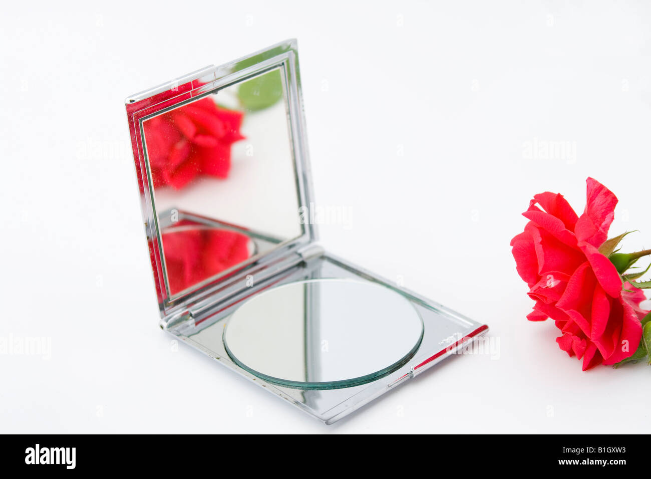 Rose rouge avec reflet dans petit miroir Banque D'Images