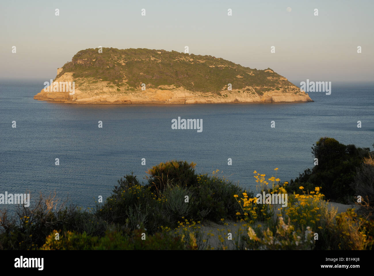 Vue depuis Cabo de San Martin de l'île de Portichol, Javea, Alicante Province, Comunidad Valenciana, Espagne Banque D'Images