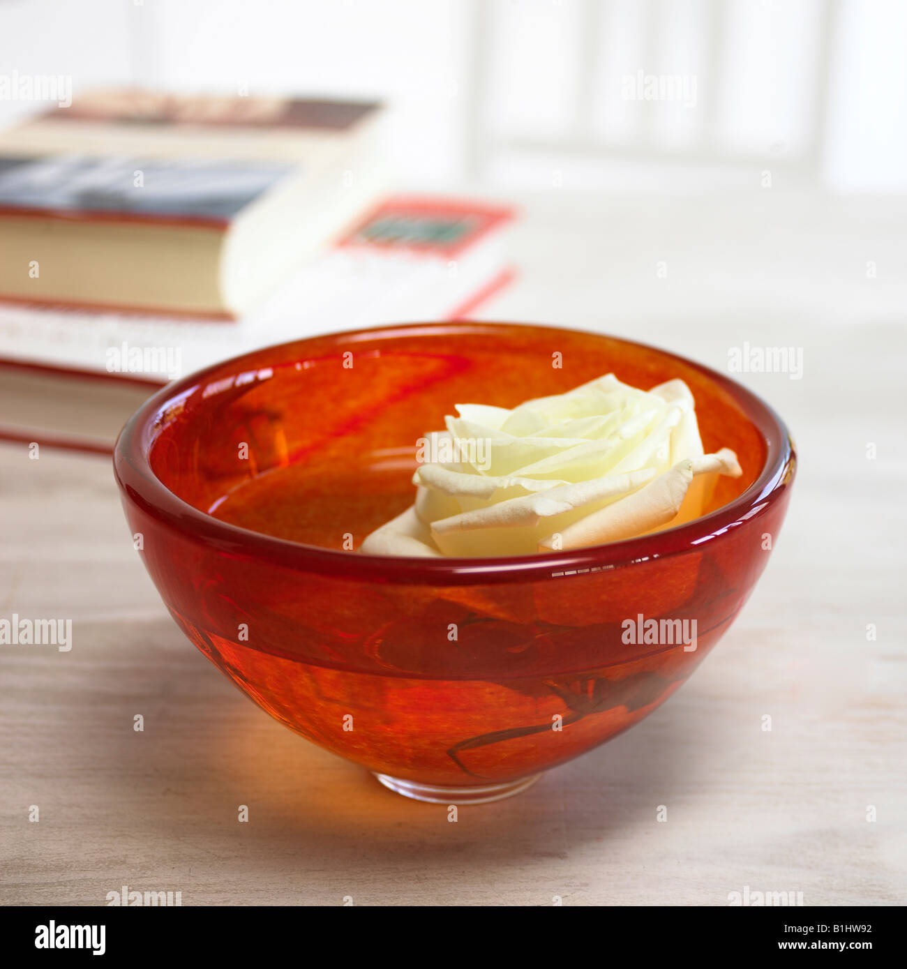 Glasschale mit Rose Banque D'Images