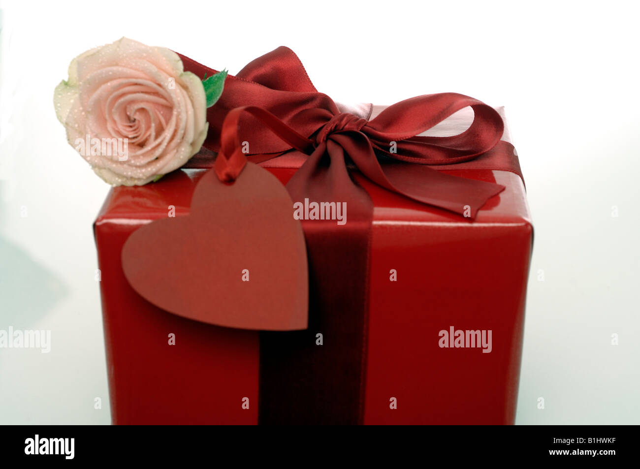 Rose mit meteo Contactez-und Herzen Banque D'Images