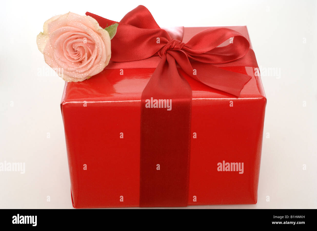 Mit meteo Contactez-Rose Banque D'Images