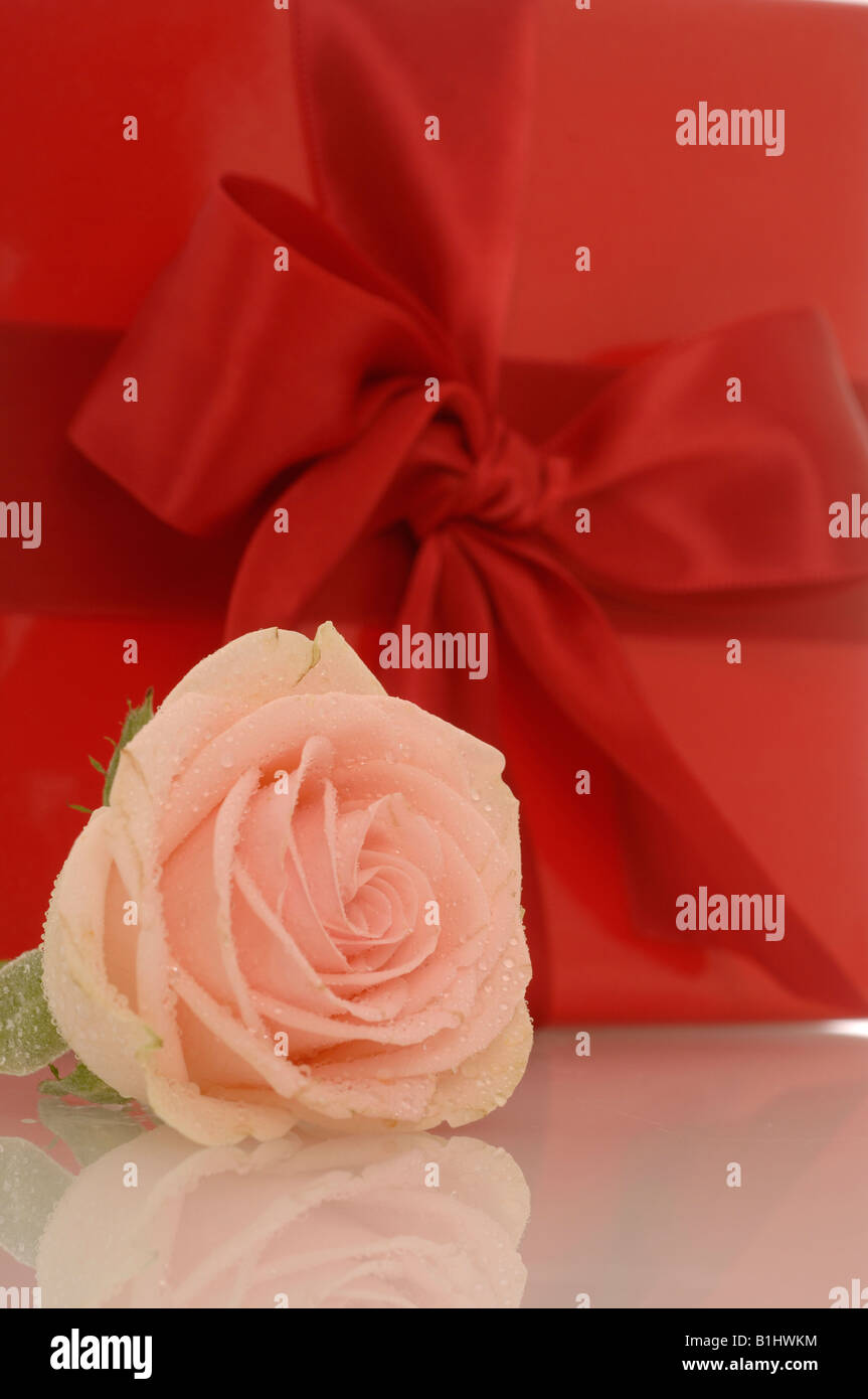 Mit meteo Contactez-Rose Banque D'Images