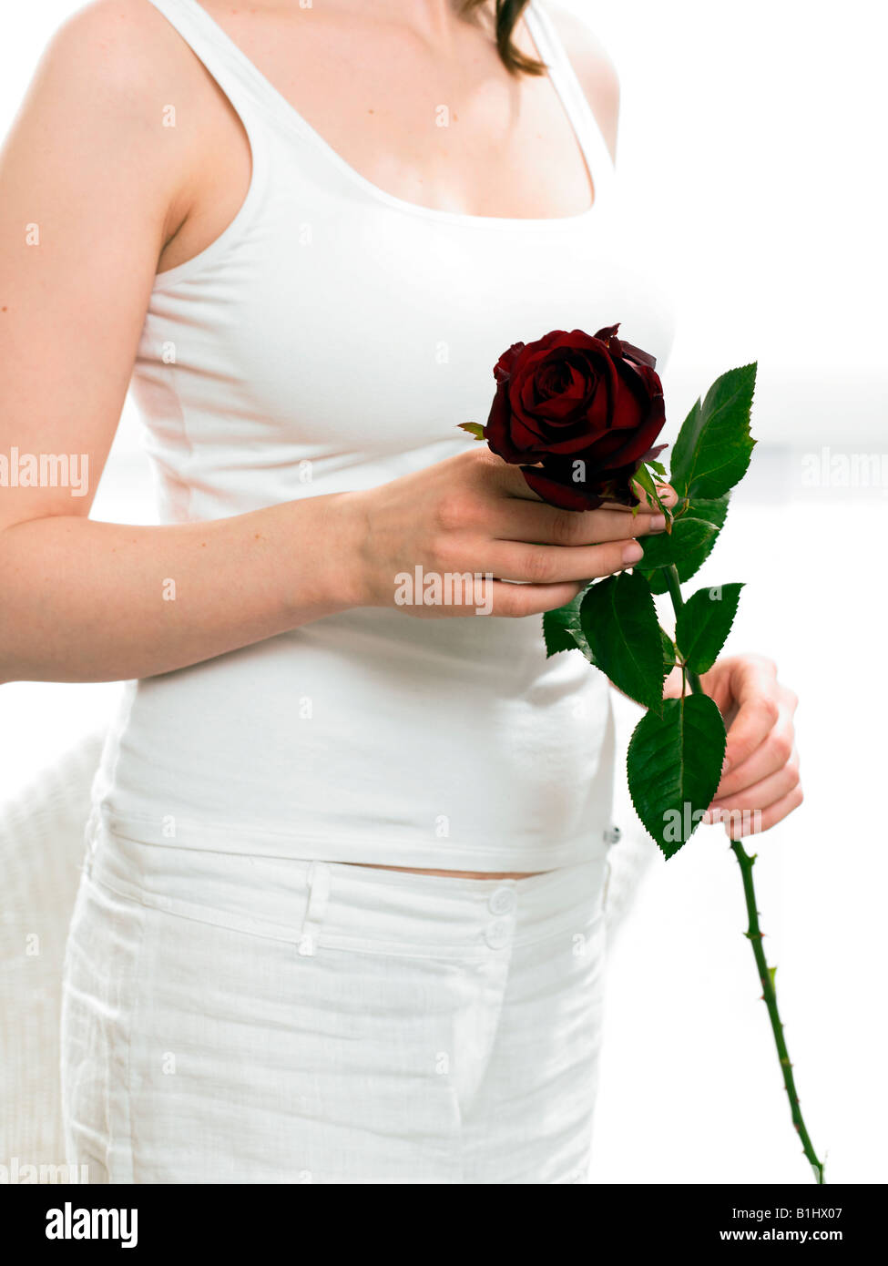 Model holding red rose Banque D'Images