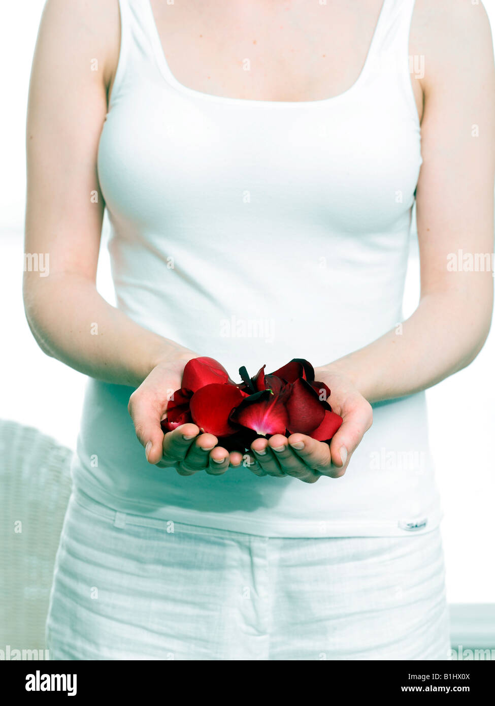 Hands holding red rose petals Banque D'Images