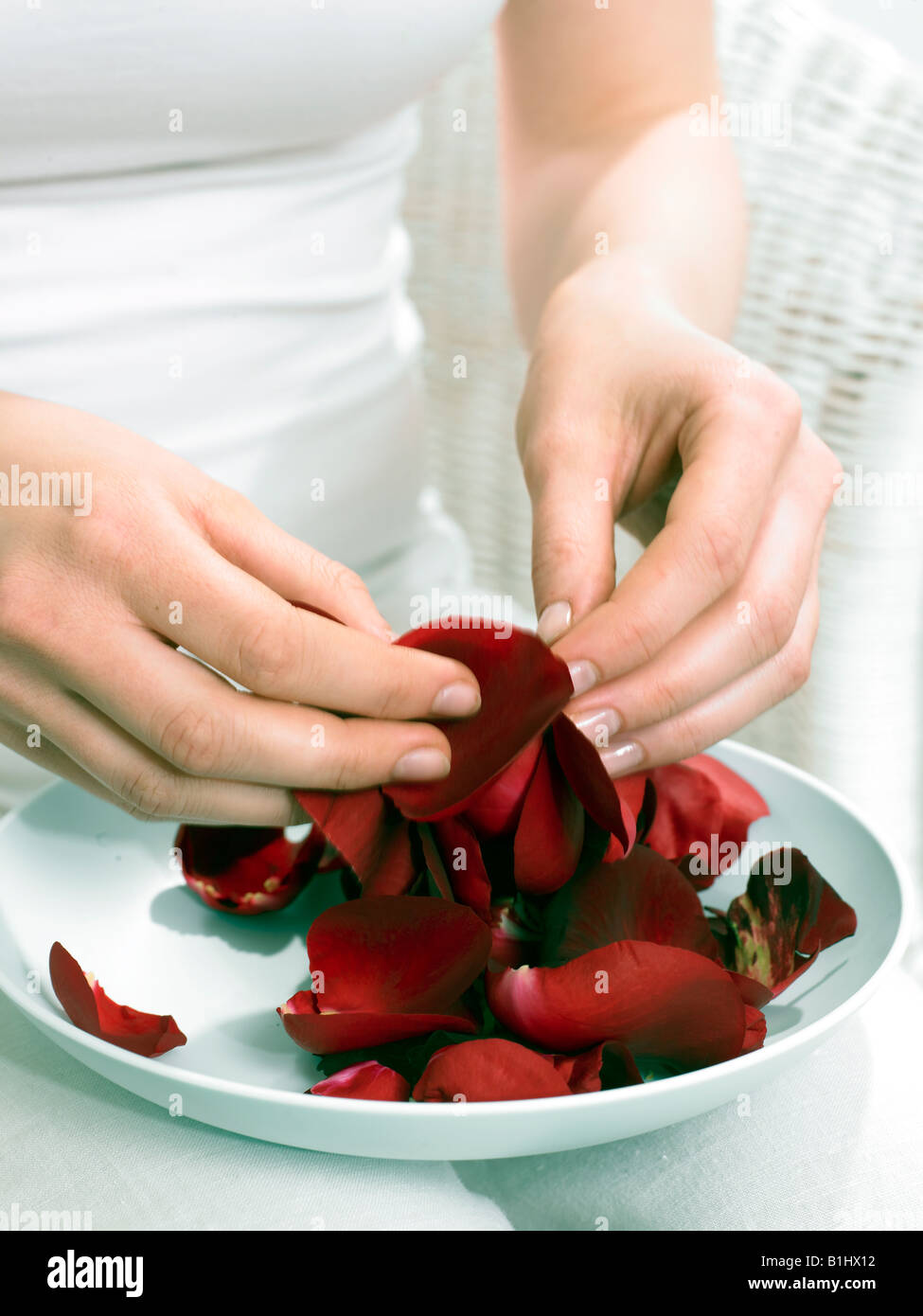 Des pétales de rose dans un bol Banque D'Images