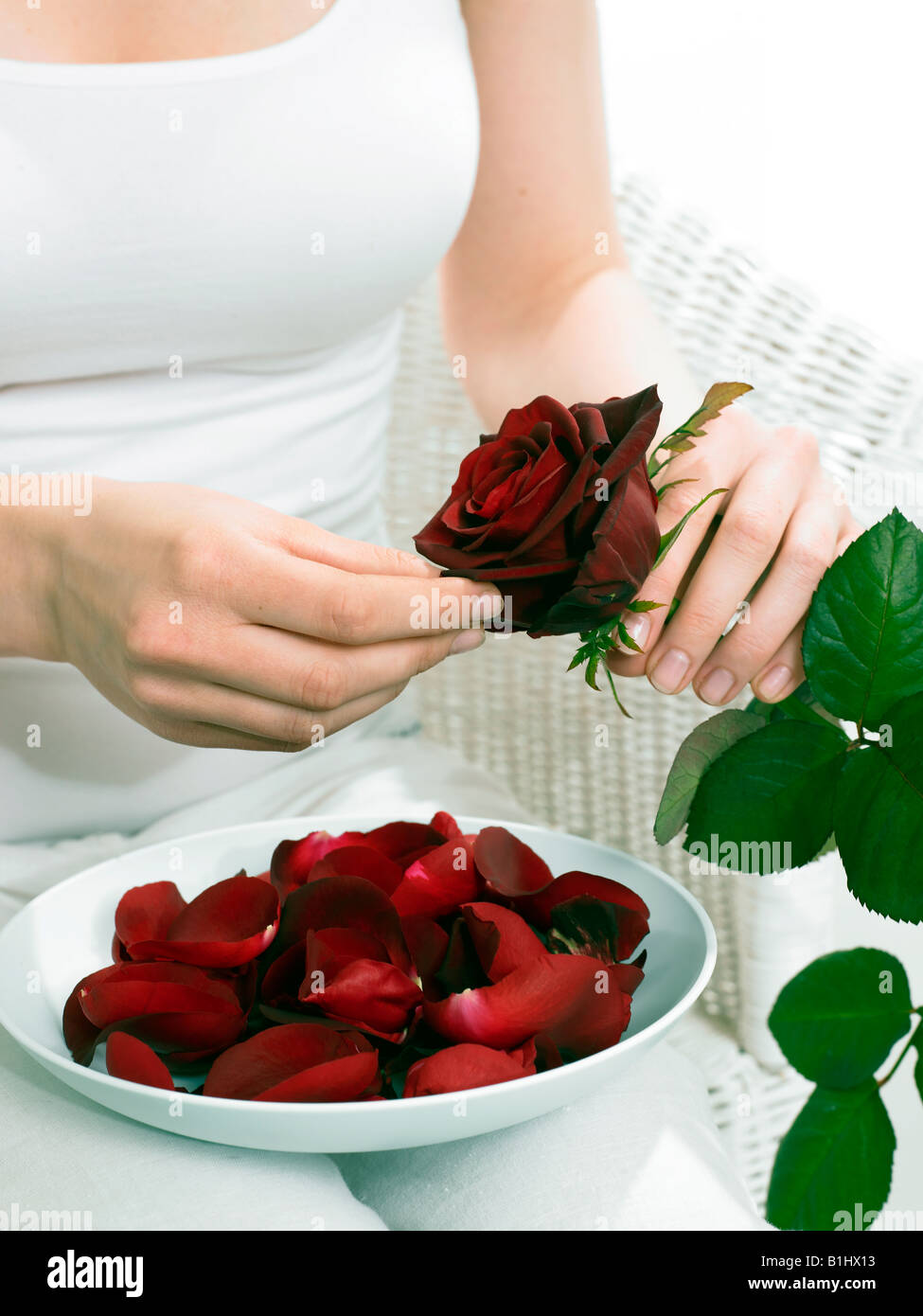 Des pétales de rose dans un bol Banque D'Images