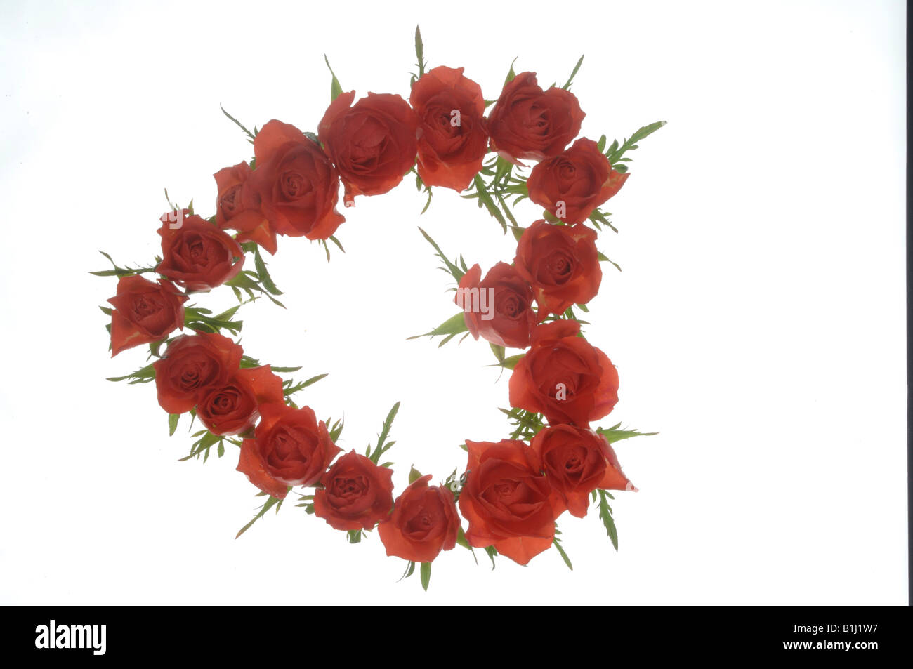 Heartshaped guirlande de roses Banque D'Images