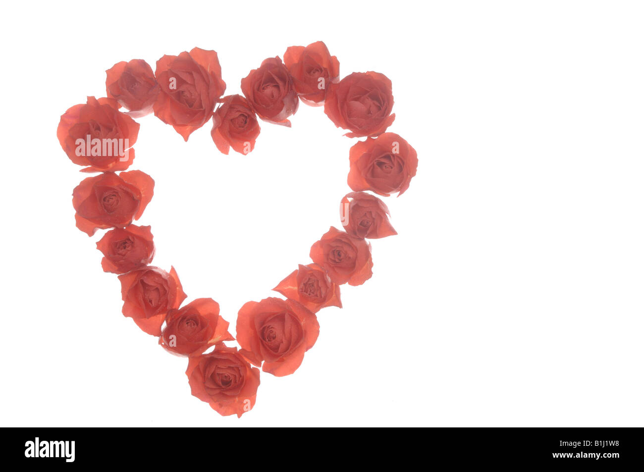 Heartshaped guirlande de roses Banque D'Images