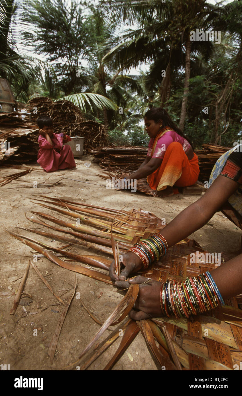 Deux femmes tissant coconut leaf écrans, Tamil Nadu, Inde Banque D'Images