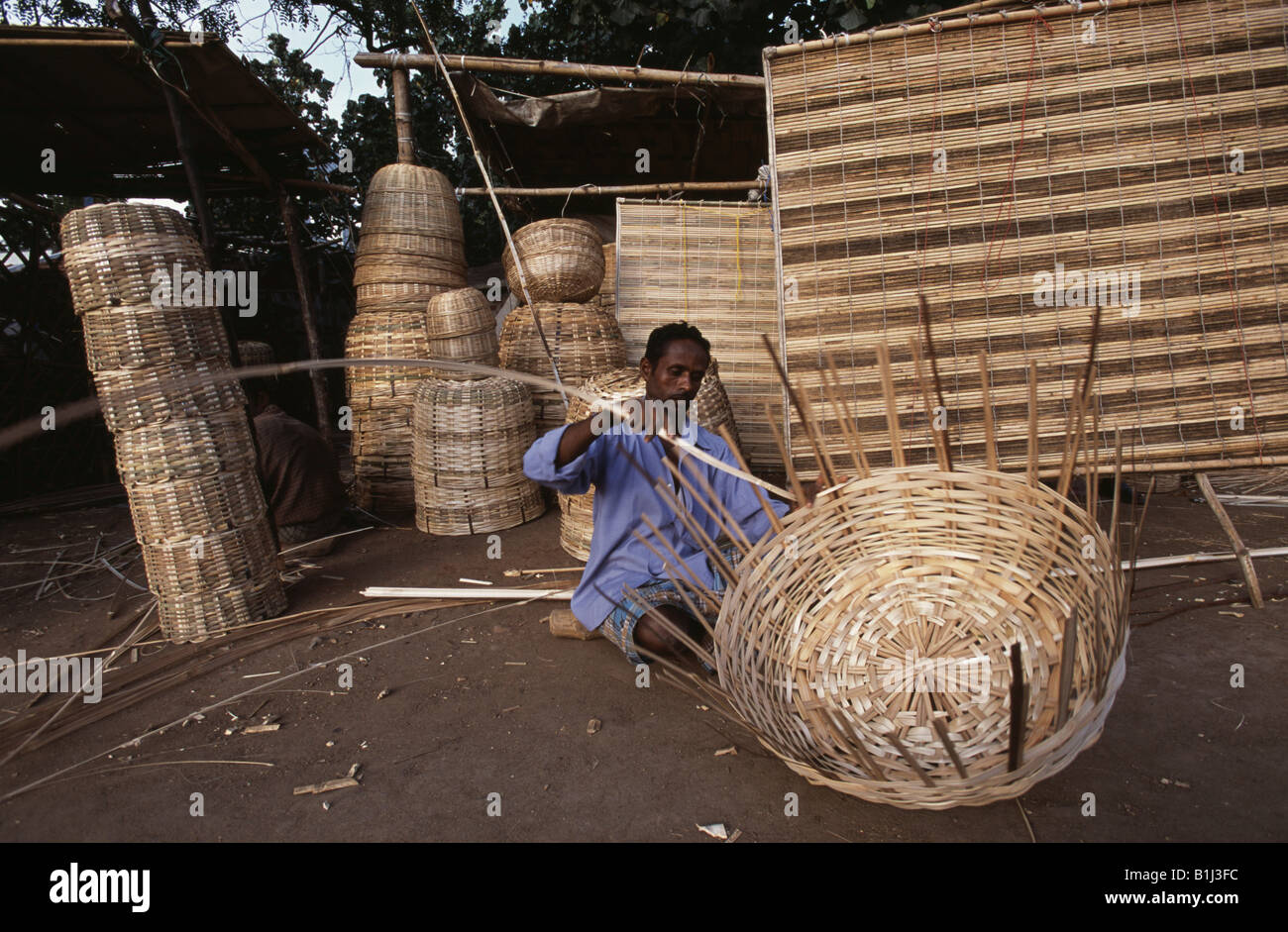 Homme mature un panier tissage de bandes du bambou, Tamil Nadu, Inde Banque D'Images