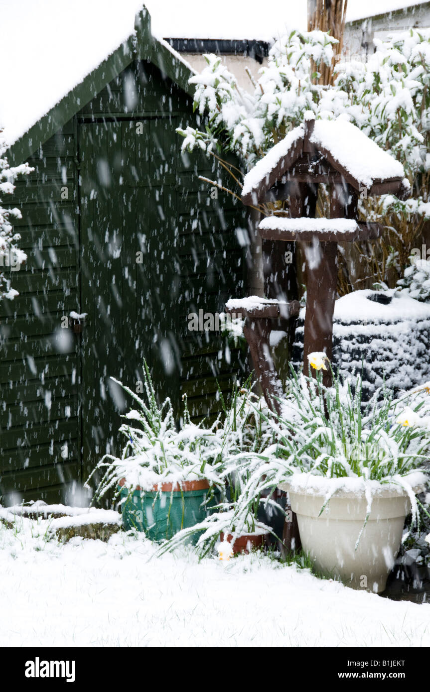 Abri de jardin, maison d'oiseau, plante couverte de neige Banque D'Images