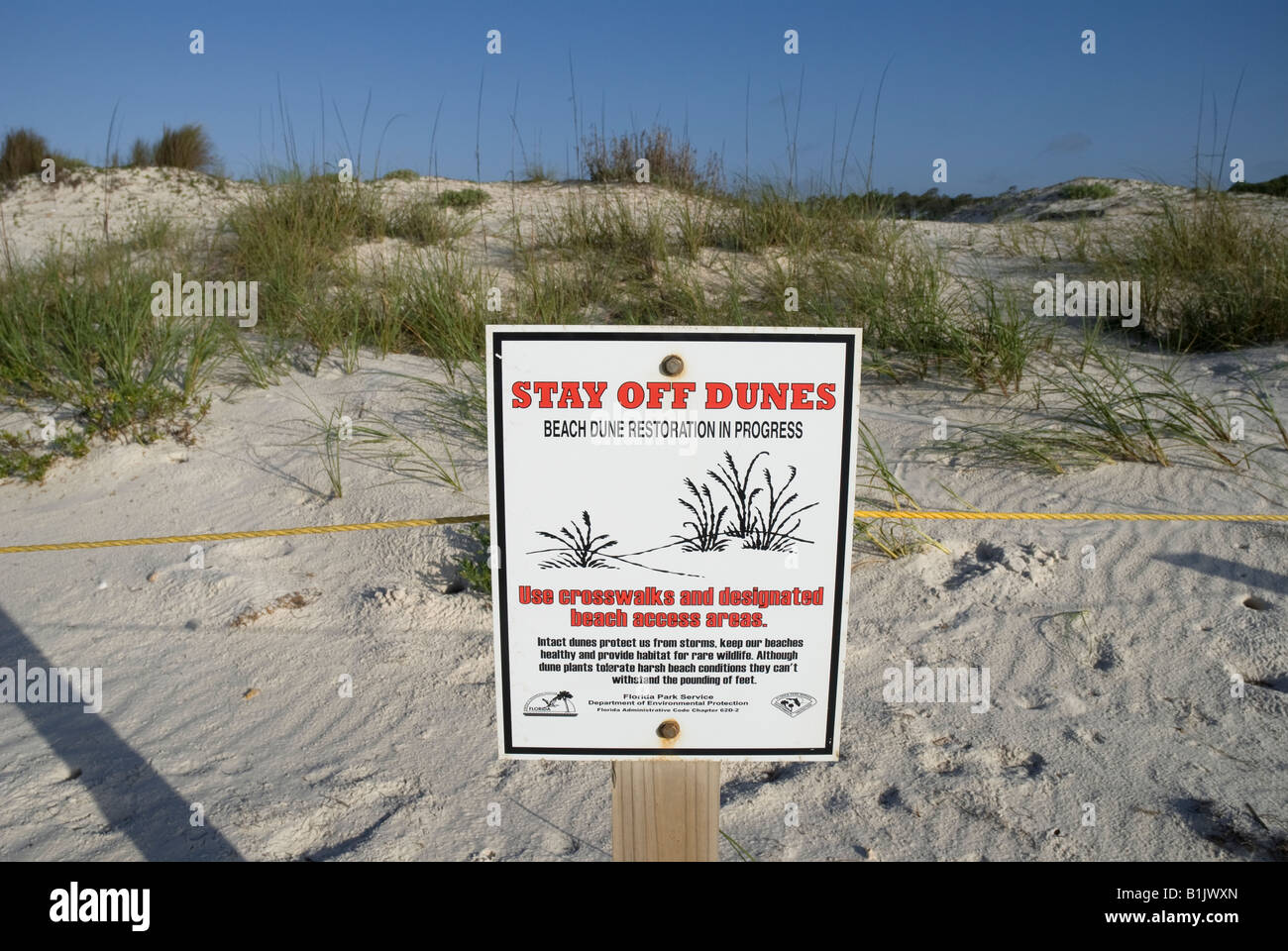Zone de restauration des dunes de sable de plage à St George State Park de la floride Banque D'Images