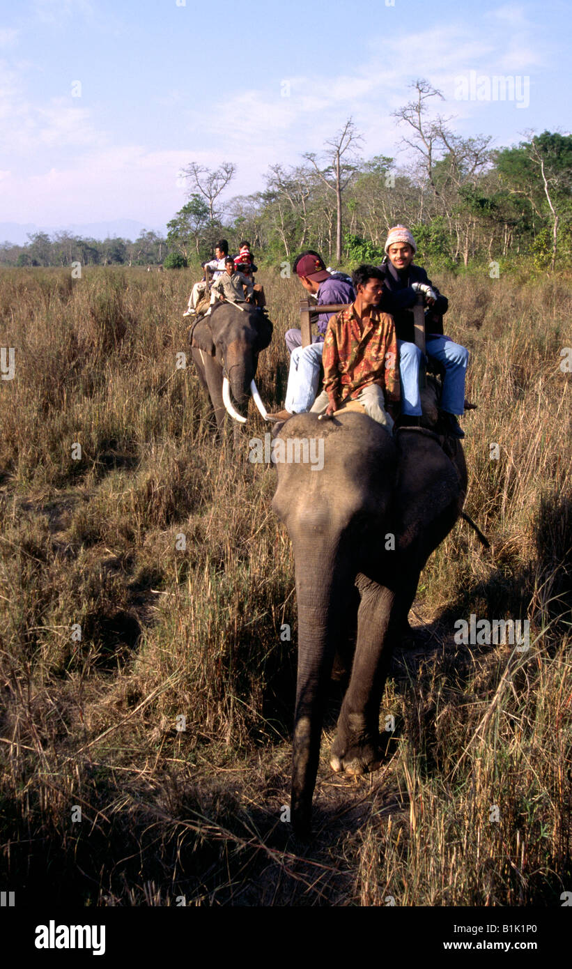 Parc national de Chitwan Népal deux éléphants en tenant les touristes sur le Rhino Safari Banque D'Images