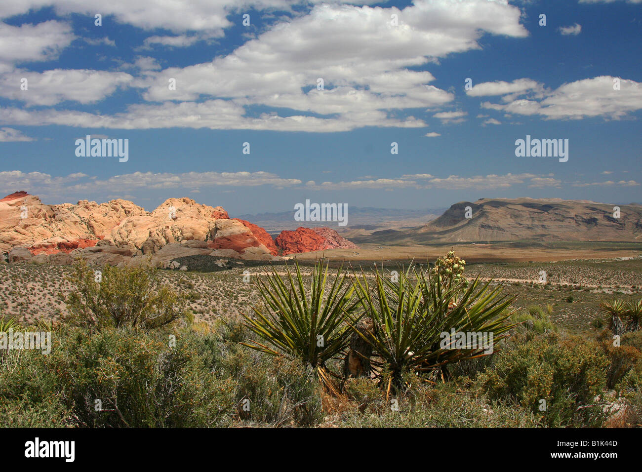 Red Rock Canyon Banque D'Images