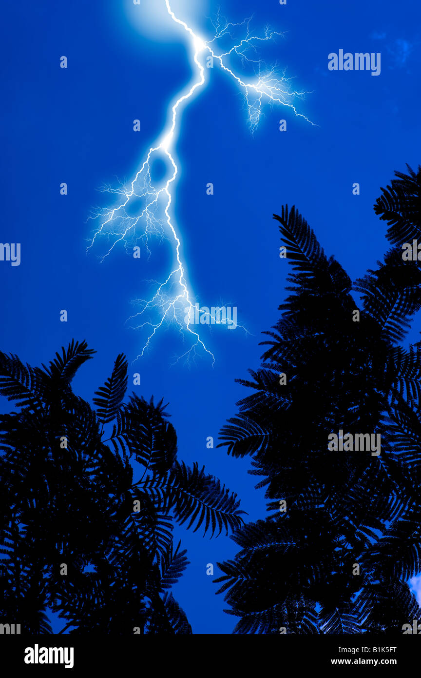 Le feuillage dans la jungle tropicale avec l'Amérique du Sud, de la foudre et ciel orageux Banque D'Images