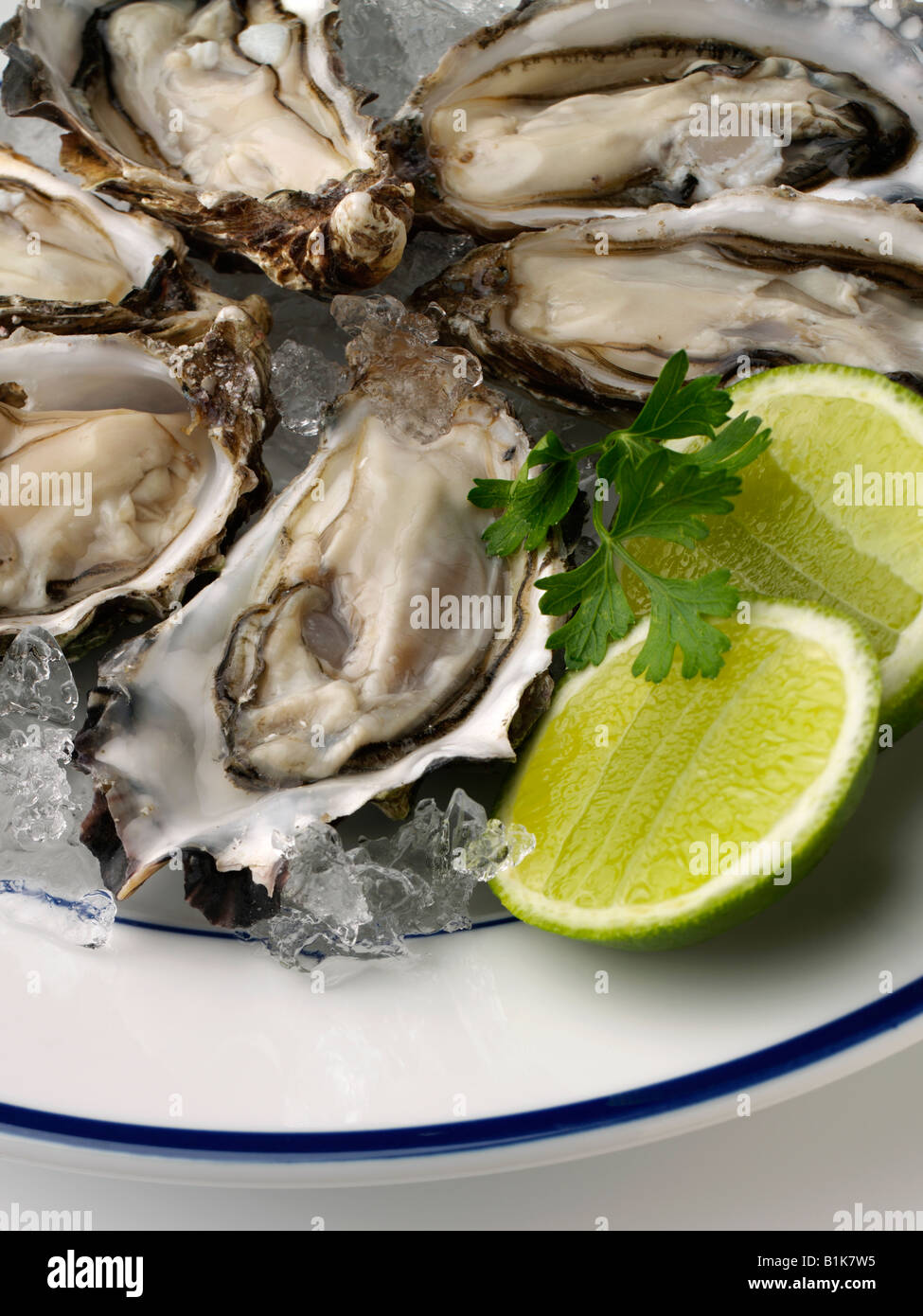 De fruits de mer gastronomique des huîtres crues l'alimentation éditoriale Banque D'Images