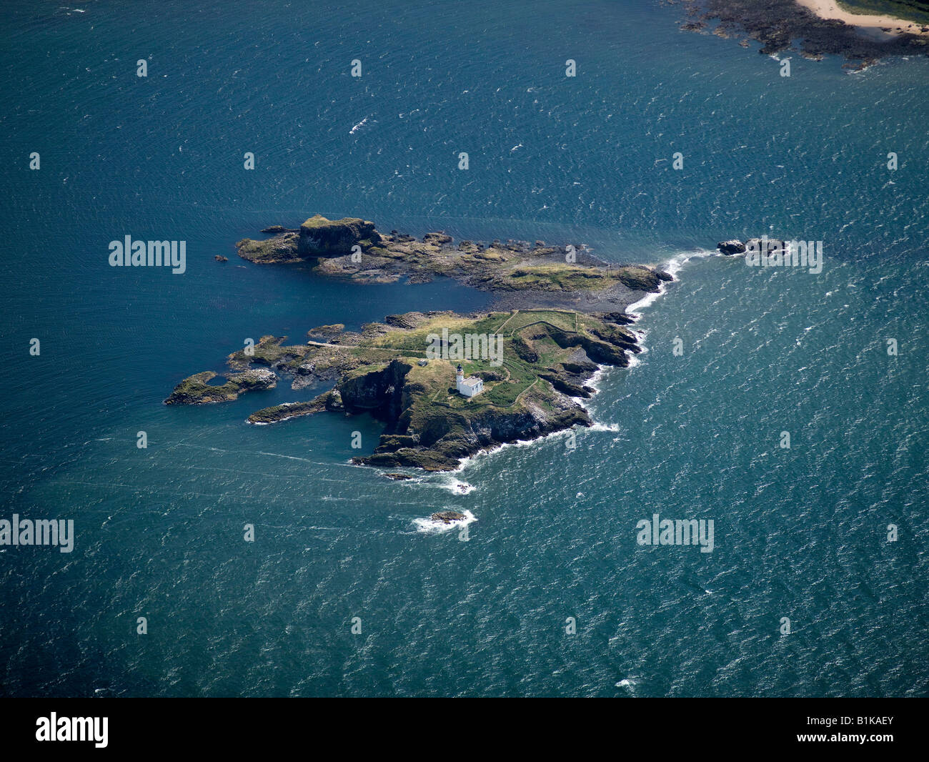 Île de Fidra, dans le Firth of Forth, Lothian, Ecosse Banque D'Images