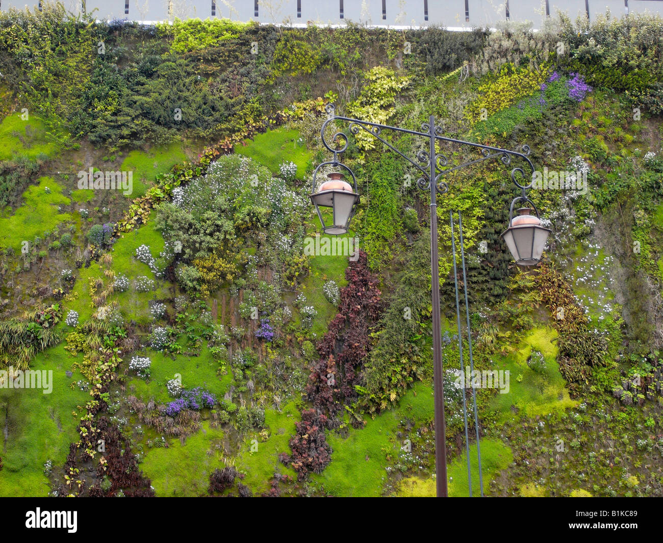 Le jardin à la verticale en France Banque D'Images