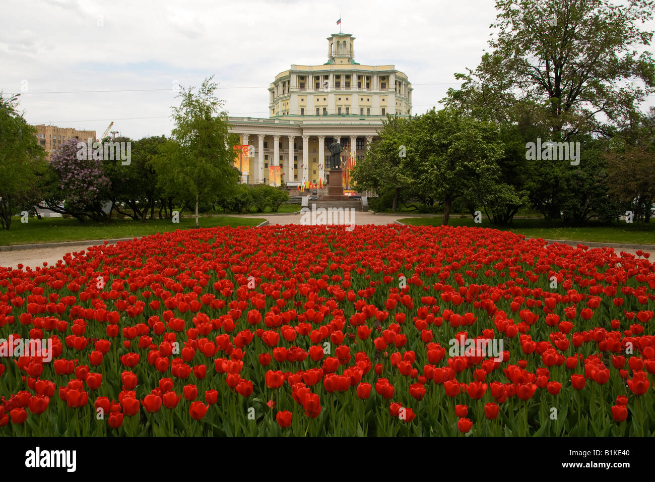 Tulipes rouges et au Théâtre de l'armée russe, Suvorovskaya Ploschad, Moscou, Russie Banque D'Images