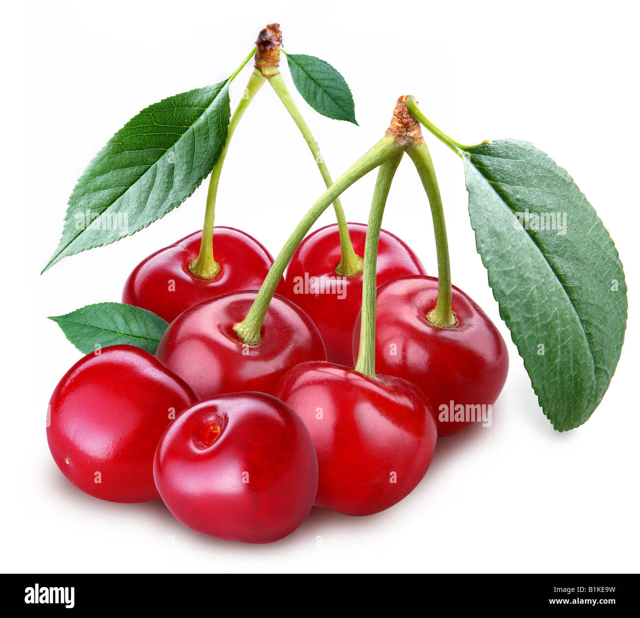 Cherry objet sur un fond blanc Banque D'Images