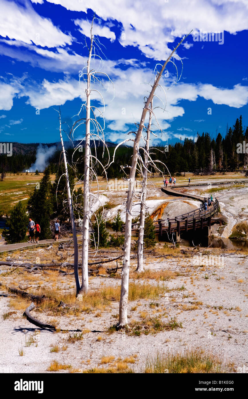 Regardant vers le bas de l'image et à l'issue de la longue piste sinueuse promenade en bois qui se promène dans les piscines de l'Old Faithful Geys Banque D'Images