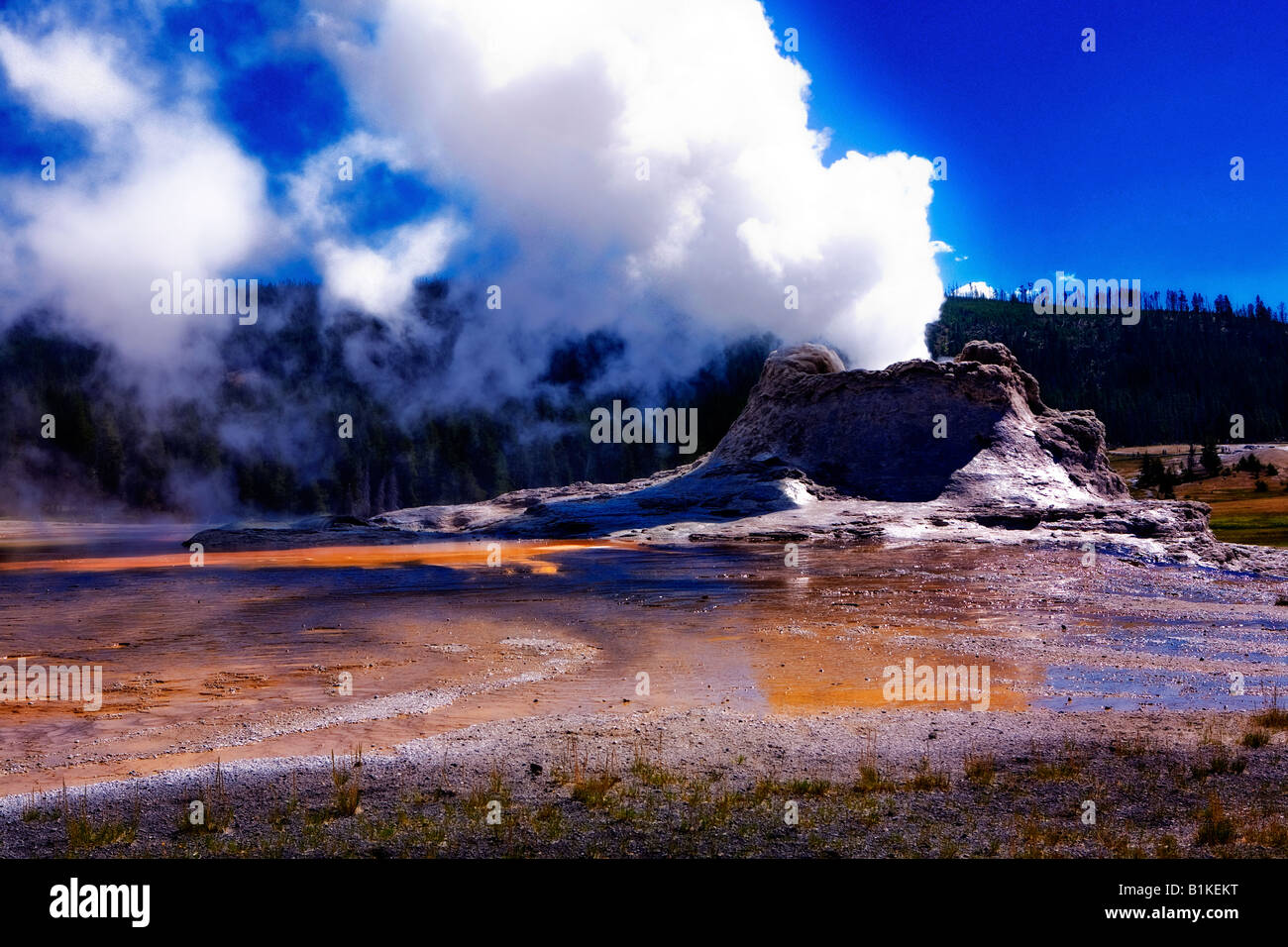 Image de l'éruption du Geyser château dans la partie supérieure près de Old Faithful Geyser Basin dans le Parc National de Yellowstone Banque D'Images