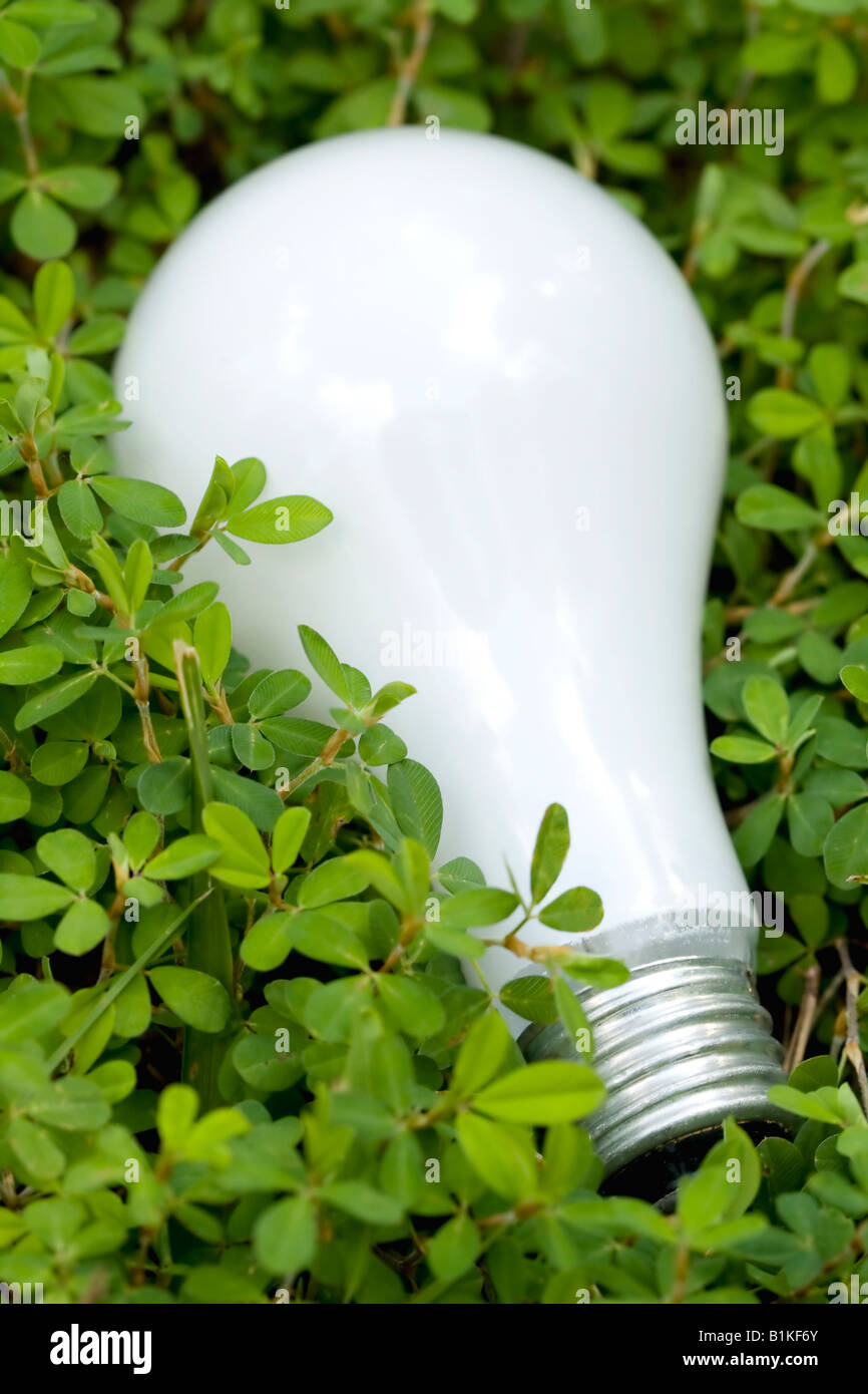 Une ampoule à économie d'énergie verte représente des trèfles Banque D'Images