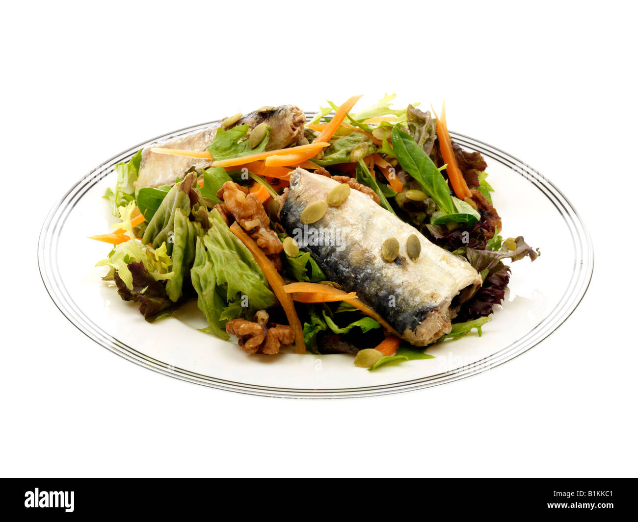 Salade de sardines Banque D'Images