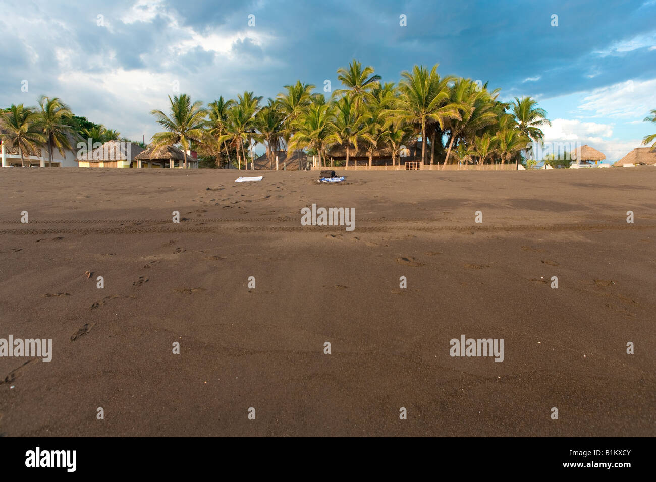 Monterrico plage de sable noir de la côte pacifique du Guatemala Banque D'Images