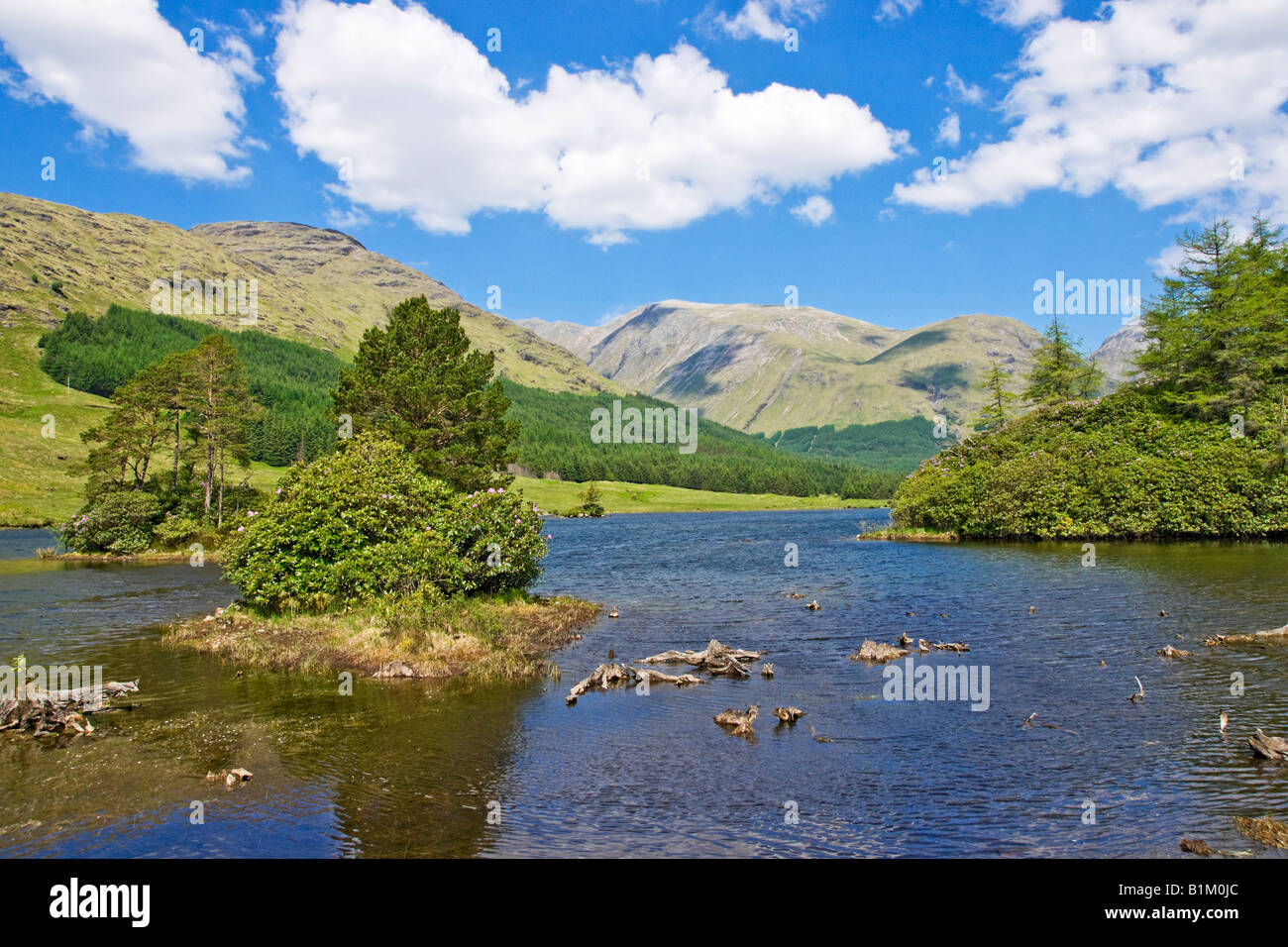 Les petites îles sur Lochan Urr dans Glen Etive West Highlands en Écosse avec Glen Coe Beinn Fhada derrière la montagne Banque D'Images