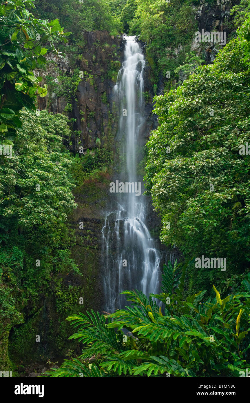 Wailua Falls District Kipahulu Hana Maui Coast Florida Banque D'Images