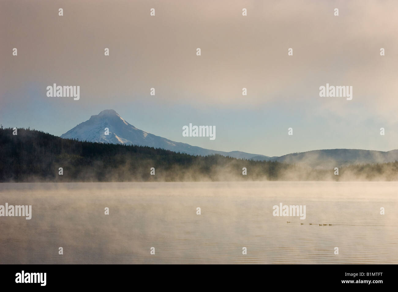 Timothy Lake et le Mont Hood avec brouillard matinal Mount Hood National Forest des Cascades en Oregon Banque D'Images