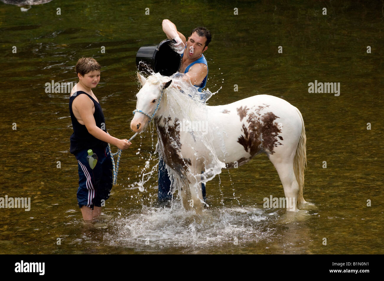 Lave-chevaux dans la rivière Eden à l'ancienne Foire aux chevaux Appleby a lieu chaque mois de juin Banque D'Images