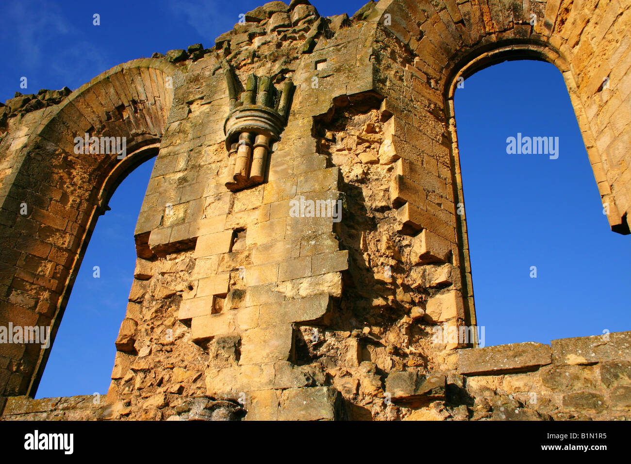 Close up of North Yorkshire Angleterre Abbaye Bylands Banque D'Images