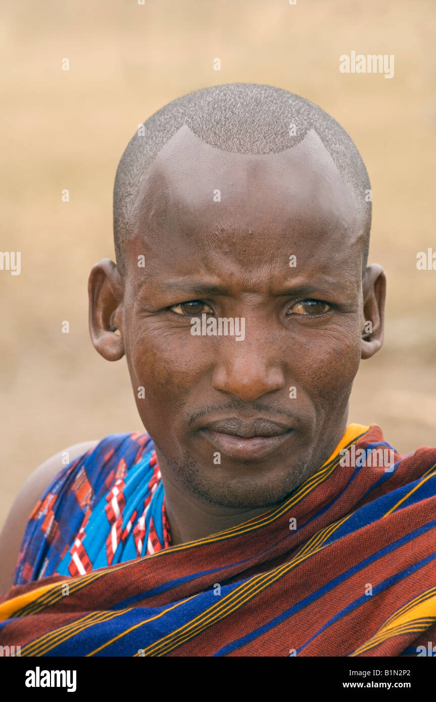 Portrait d'un Masaï avec crâne rasé, Tanzanie Banque D'Images