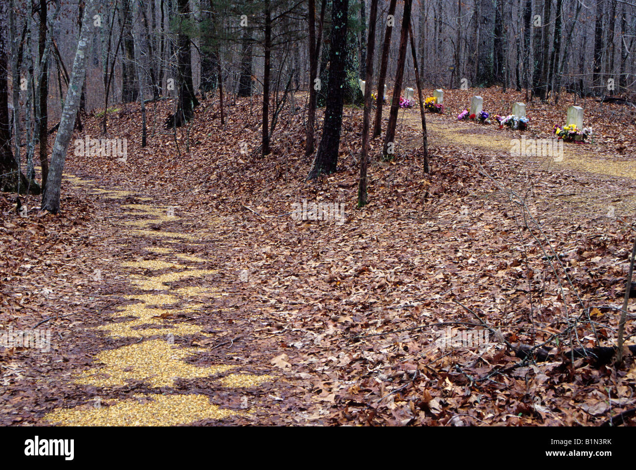Natchez Trace Parkway Mississippi. Tombes de Soldats confédérés inconnu de la guerre civile. Banque D'Images